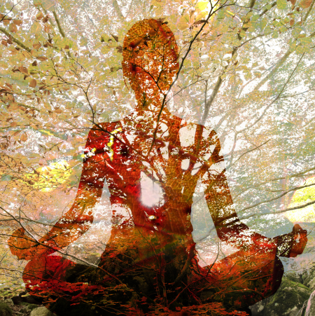 Silhouette of woman doing yoga in lotus position over tree. Concept of connection with the universe and nature.